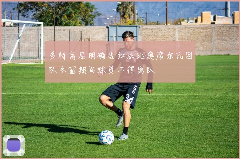 多特高层明确告知法比奥席尔瓦团队冬窗期间球员不得离队